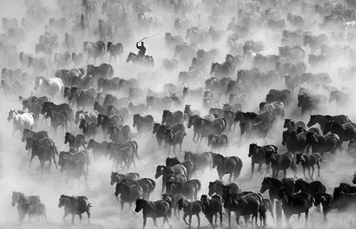 追夢這五年，梧州文藝且歌且行——文藝創(chuàng)作篇